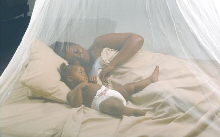 Rwanda: Mu myaka 7 abarwara Malaria bagabanutseho miliyoni zisaga enye