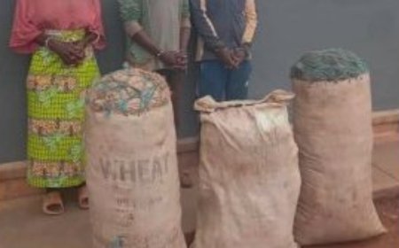 Saa Tatu z’ijoro ibiro 105 by’urumogi byafatanywe umugore w’imyaka 72 n’umwana we