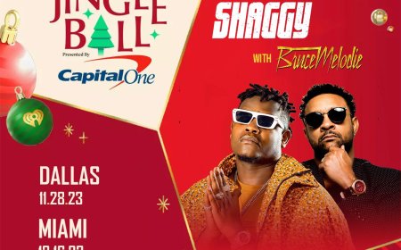 Ibyishimo ni byose kuri  Bruce Melodie ugiye gutaramana na Nick Minaj , Usher Raymond IV , Shaggy n’abandi