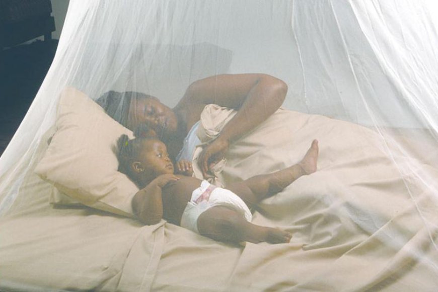 Rwanda: Mu myaka 7 abarwara Malaria bagabanutseho miliyoni zisaga enye