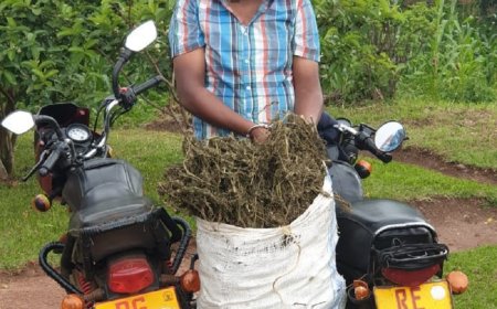 Gatsibo: Polisi y’u Rwanda yafatanye abantu babiri ibiyobyabwenge by’urumogi rupima ibilo 20 kuri moto, n’udupfunyika twarwo 111