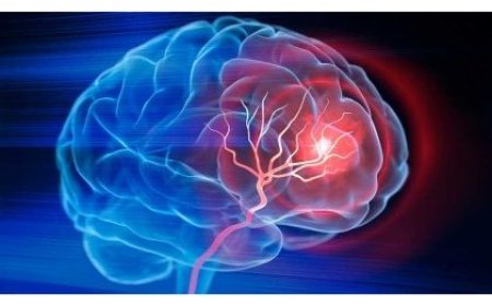 Impamvu ku myaka 40 ubwonko bw’umuntu butangira gusaza