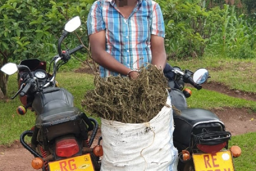 Gatsibo: Polisi y’u Rwanda yafatanye abantu babiri ibiyobyabwenge by’urumogi rupima ibilo 20 kuri moto, n’udupfunyika twarwo 111