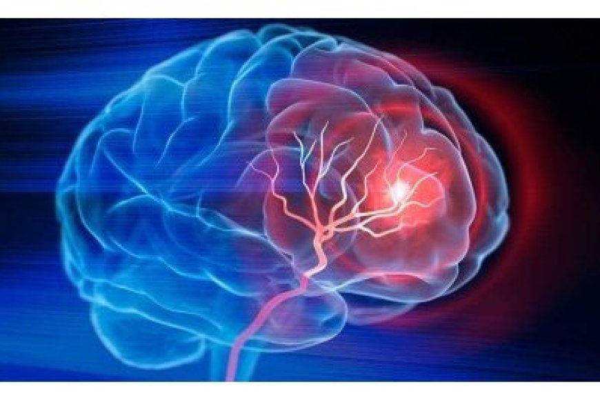 Impamvu ku myaka 40 ubwonko bw’umuntu butangira gusaza