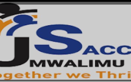 UMWALIMU SACCO: Dore amatariki ya dosiye  z'inguzanyo agezweho mu mashami yose | Status of Loan Disbursement in all USACCO branches as of (05/01/2024)