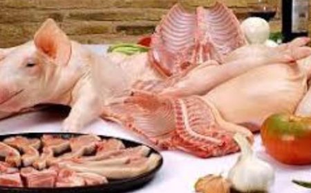 Abakunzi b'akabenzi (INGURUBE) Barabyinira ku rukoma nyuma yuko bashyizwe igorora!