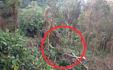 Nyuma yo kumushukisha amandazi na fanta; Umwarimu w’imyaka 32 yaguwe gitumo ari gusambanyiriza umwana w’imyaka 15 mu ishyamba