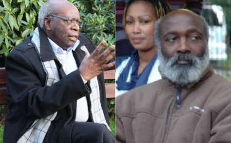 Umuhungu wa Kayibanda yabaye umuyobozi  wishyaka rya RDI asimbura Twagiramungu wapfuye