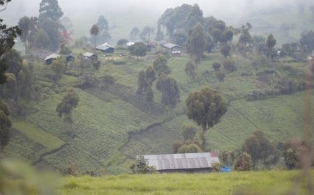 Ipfu n’inkomere biri kwiyongera mu mirwano ya M23 n’abayiteraniye