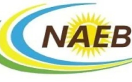 IMYANYA MYINSHI Y'AKAZI MUKIGO GISHINZWE UBUHINZI N'UBWOROZI MU RWANDA (NAEB)