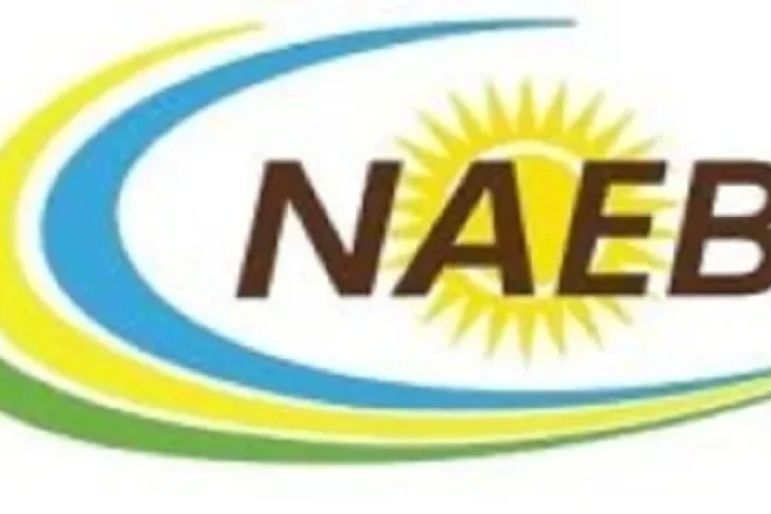 IMYANYA MYINSHI Y'AKAZI MUKIGO GISHINZWE UBUHINZI N'UBWOROZI MU RWANDA (NAEB)