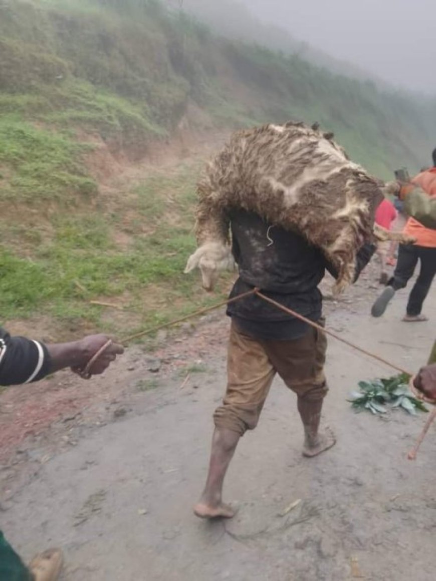 Burera: Umugabo yasambanyije intama birangira ipfuye