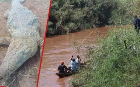 Ibintu byose byararakaye ndakurahiye! Ingona yamiraguye umuhungu w'imyaka 11 bunguri barayica ba mukuramo yapfuye