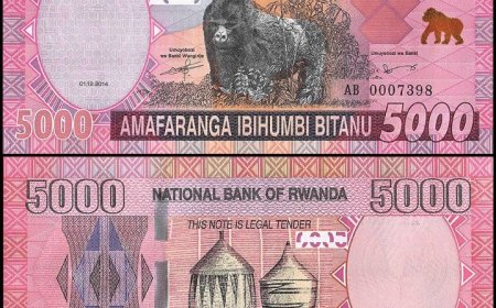 POLICE Y'URWANDA IRAMENYESHA UMUNTU WABA YARATAYE AMAFARANGA, KUJYA KUYAFATA