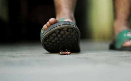 Irinde urupfu ari wowe urwishyiriye. Dore ingaruka zikomeye ku bantu bakandagira ibinyenzi bibwira ko aribwo buryo bwiza bwo kubyica. Soma inkuru yose