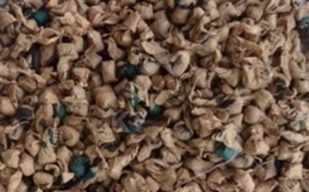 Umupolisi arembeye mu bitaro yenda gupfa nyuma yo guhatirwa n'amabandi kunywa utubure  tw'urumogi