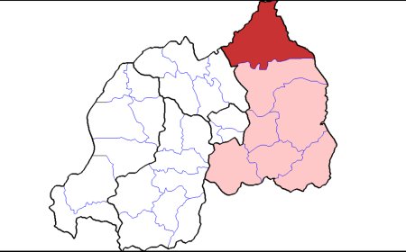 Nyagatare: Umugabo arakekwaho gusambanya umwana we w'imyaka 3