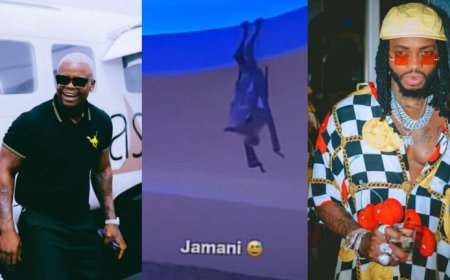 Habuze gato ngo Diamond Platnumz apfe nyuma yuko Harmonize yohereje agacurama kamarozi munzu ye