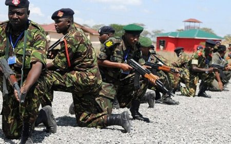 Mungabo z'uburundi hajemo bombori bombori