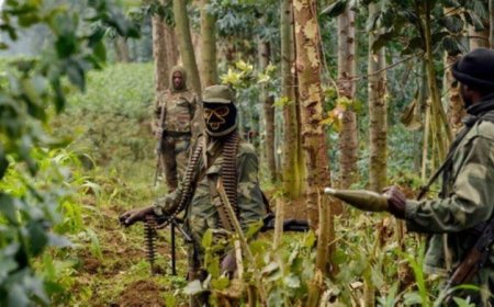 FDLR na yo yinjiye mu Kibira, iritegura gufatanya n’Ingabo z’u Burundi ’gutera u Rwanda bakarwomeka ku Burundi