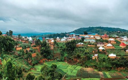 Bahangayikishijwe n'inyeshyamba z'Abanyarwanda zirirwa zizenguruka aho batuye