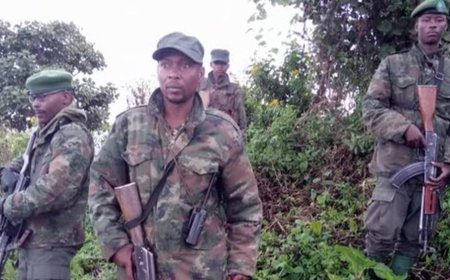 Abarimo Jeneral wa FDLR, Lt Col Willy Ngoma n'abandi batandatu bafatiwe ibihano bikakaye na Loni
