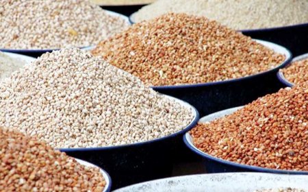 Nta wemerewe gucuruza umusaruro ukomoka ku buhinzi n’ubworozi adafite icyangombwa