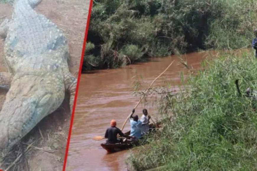 Ibintu byose byararakaye ndakurahiye! Ingona yamiraguye umuhungu w'imyaka 11 bunguri barayica ba mukuramo yapfuye