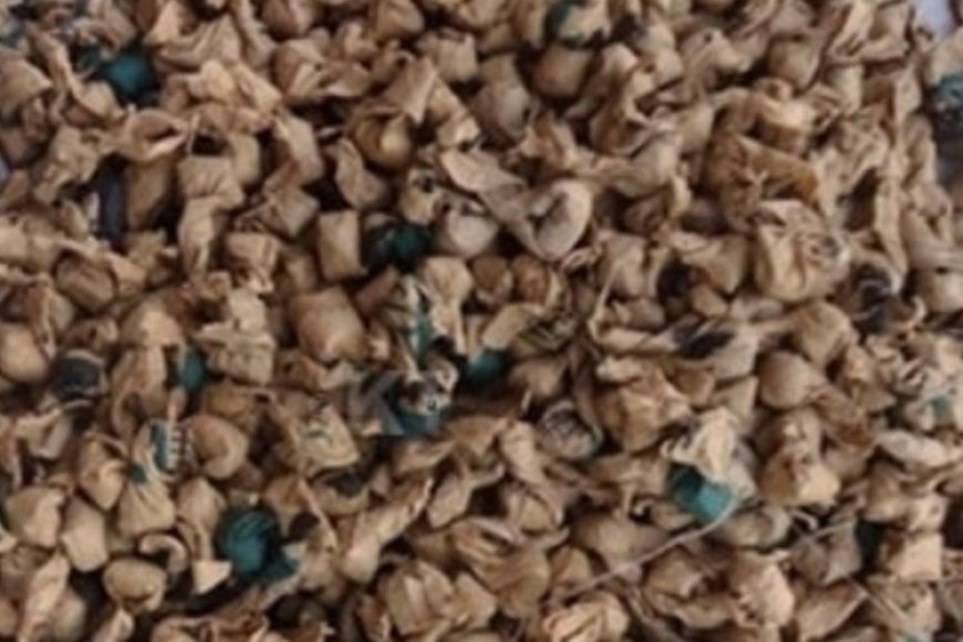 Umupolisi arembeye mu bitaro yenda gupfa nyuma yo guhatirwa n'amabandi kunywa utubure  tw'urumogi