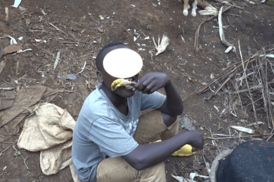 Rusizi: Nyamara ni Nyama uryoshe kurusha izindi pee! Amajanja y'inkoko akomeje kuba imari  bikomeye cyane-[Reba inkuru mumashusho]