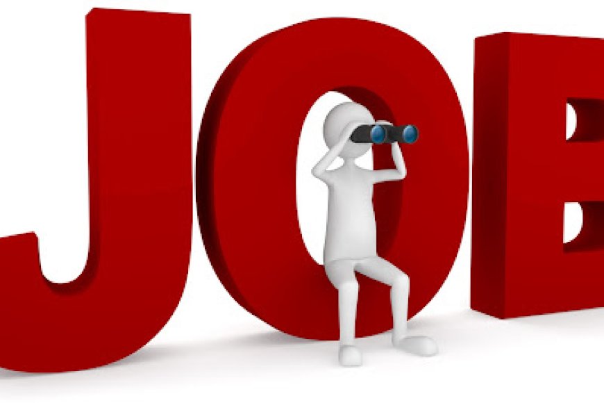 Social Affairs Officer at Nyamasheke District Under Statute :Deadline: Feb 14, 2024