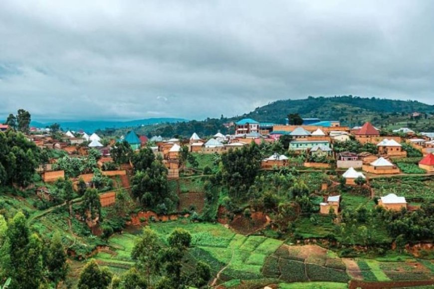 Bahangayikishijwe n'inyeshyamba z'Abanyarwanda zirirwa zizenguruka aho batuye
