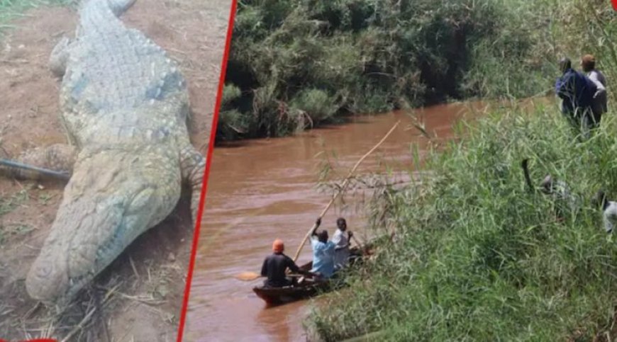 Ibintu byose byararakaye ndakurahiye! Ingona yamiraguye umuhungu w'imyaka 11 bunguri barayica ba mukuramo yapfuye