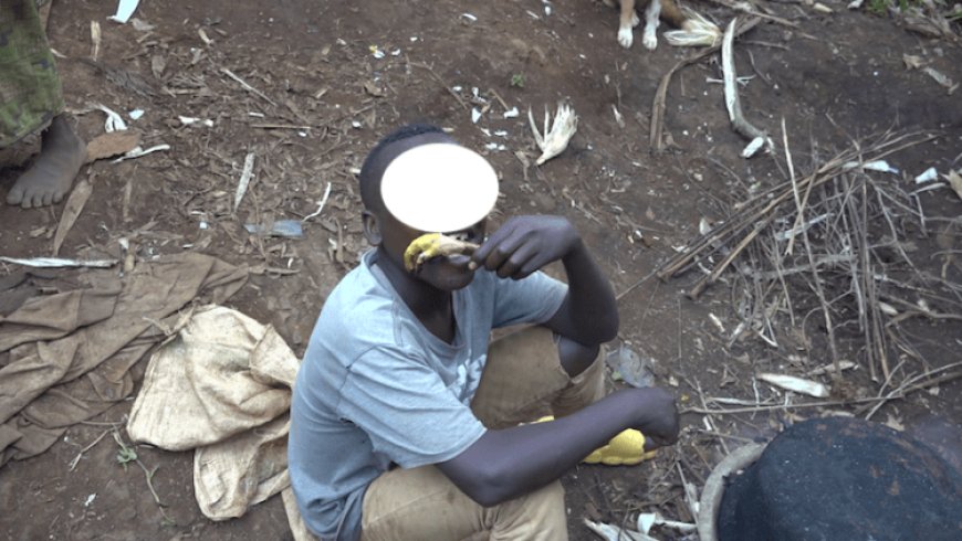 Rusizi: Nyamara ni Nyama uryoshe kurusha izindi pee! Amajanja y'inkoko akomeje kuba imari  bikomeye cyane-[Reba inkuru mumashusho]