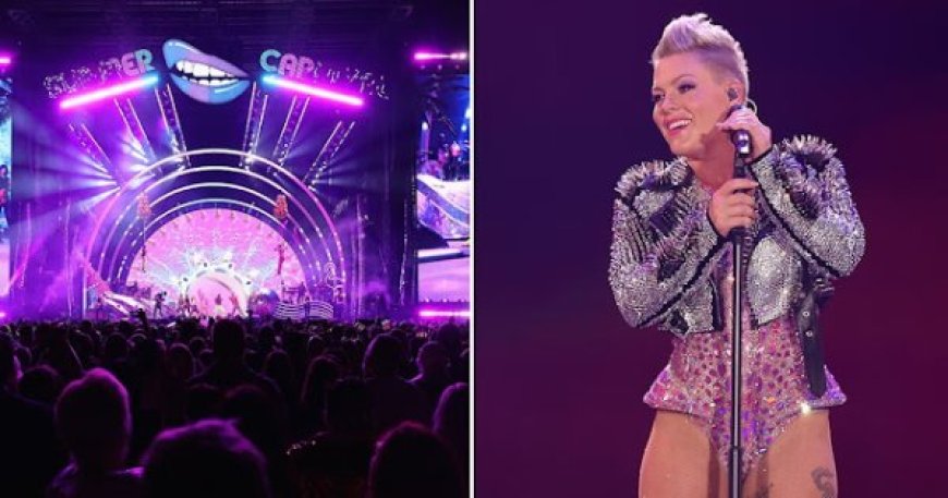 Umuziki watumye umufana afatwa n'ibise