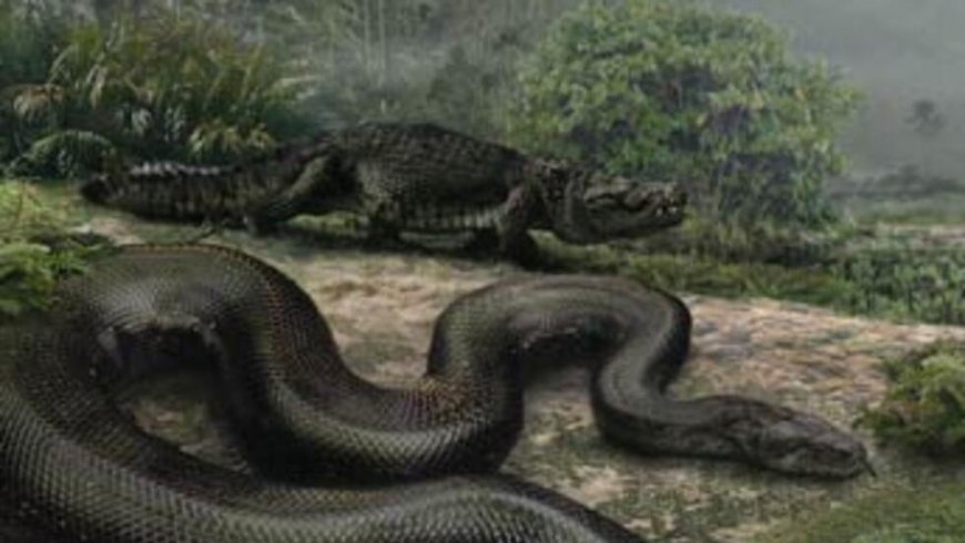 Biratangaje, Dore ubusobanuro bwo kurota ubona inzoka