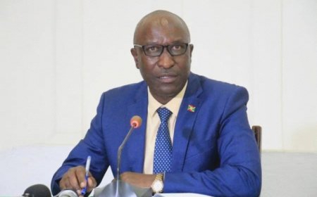 Red Tabara Ntabwo ifashwa n*U Rwanda! Minisitiri Lt Gen.Gervais yabusanije na Perezida Ndayishimiye