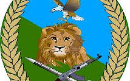 Andi mahirwe ku basore n’inkumi bifuza kwinjira muri RDF bize amasomo ya Tekiniki