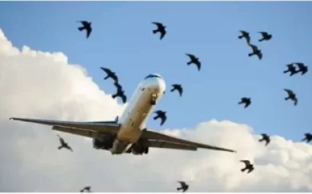 Ibisiga byahagaritse urugendo rw’indege yavaga i Kigali