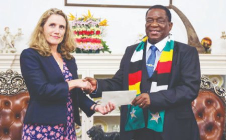 Zimbabwe: Abanyamerika bari guhigwa bukware