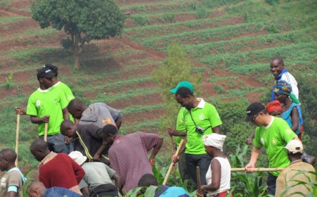 Ubungubu umuntu wese ufite ubutaka adahinga ashobora kujya ahanwa