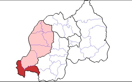 Abatuye mu karere ka Rusizi batewe impungenge n’imvubu zibangiriza imyaka zikica n’abaturage