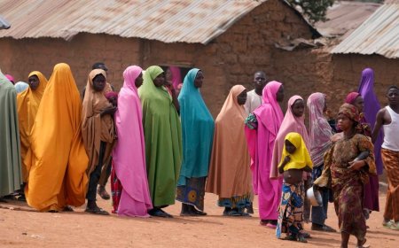 Nigeria:Umubare w'Abanyeshuri bashimuswe n'abitwaje intwaro ukomeje kwiyongera aho 15 biyongereye kuri 287