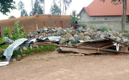 Rubavu: Ibiza byasenyeye abaturage Inzu zirenga 20 n'umuyaga wibasiye amashyamba