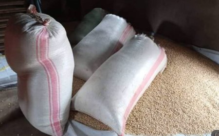 Abamamyi baciwe akayabo ka amafaranga nyuma yuko baranguraga ibigori abahinzi ba bahenze bikabije