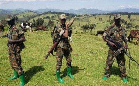 M23 yatangaje ko yivuganye umukoloneli wa FARDC mu mirwano yabereye Kalehe