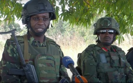 EU igiye guha RDF indi nkunga