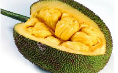 Sobanukirwa n’akamaro k’igifenesi mu mubiri w’umuntu n’uburyo gishobora gusimbura inyama