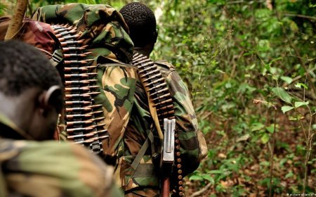 UGANDA: Igisirikare cy'igihugu cya Uganda kiryamiye amajanja mu rwego rwo gudicunga umutekano