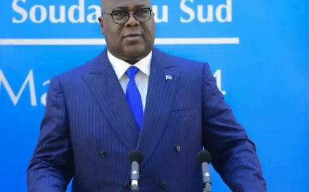 Igisubizo cya Tshisekedi wabajijwe ku mugambi wo kubaka urukuta rutandukanya Congo n’u Rwanda